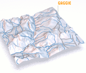 3d view of Gaggie