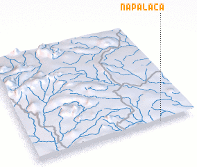 3d view of Napalaca