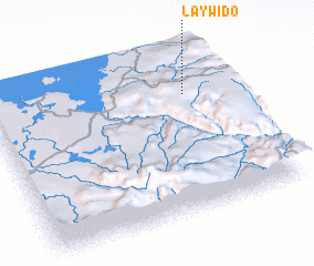 3d view of Laywido