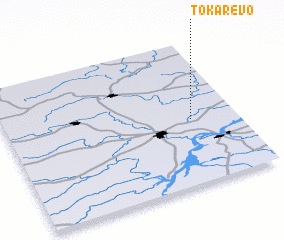 3d view of Tokarëvo