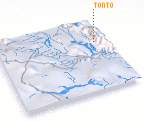 3d view of Tonto