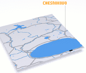 3d view of Chesnokovo