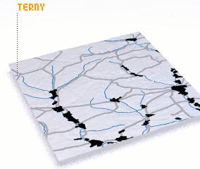 3d view of Terny