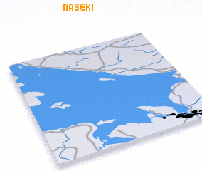 3d view of Naseki