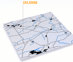 3d view of Selenka