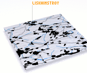 3d view of Liskhimstroy