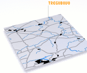 3d view of Tregubovo