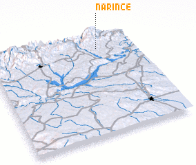 3d view of Narince