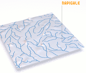 3d view of Napigale