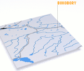 3d view of Bukobory