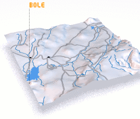 3d view of Bole