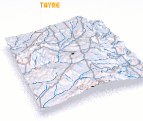 3d view of Tayre