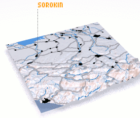 3d view of Sorokin