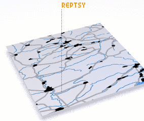 3d view of Reptsy