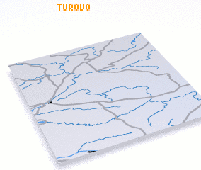 3d view of Turovo