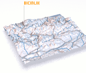 3d view of Biçinlik