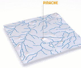 3d view of Pinache