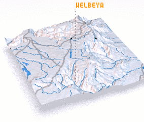 3d view of Welbeya