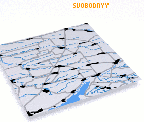 3d view of Svobodnyy