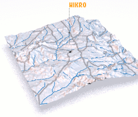 3d view of Wikʼro