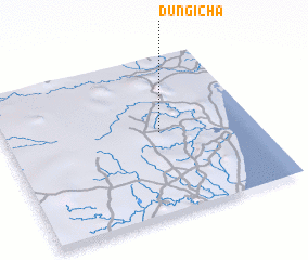 3d view of Dungicha