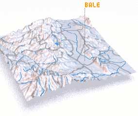 3d view of Bale