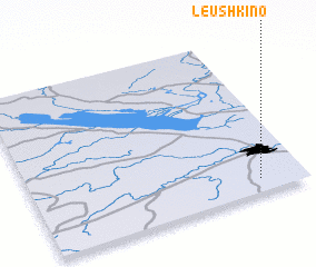 3d view of Leushkino