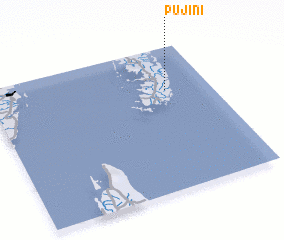 3d view of Pujini