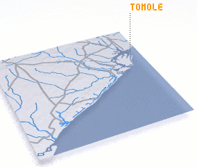 3d view of Tomole