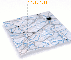 3d view of Pialeviales