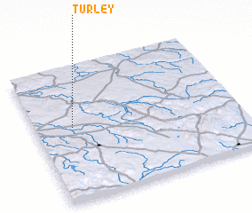 3d view of Turley