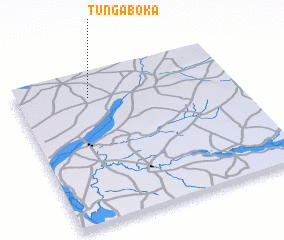 3d view of Tunga Boka