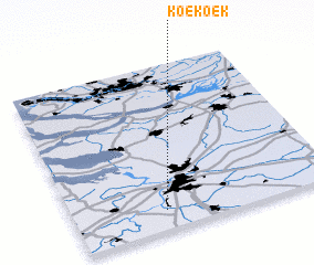 3d view of Koekoek