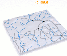 3d view of Womonle