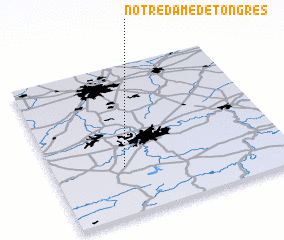 3d view of Notre-Dame de Tongres