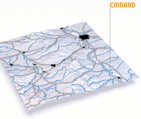 3d view of Coinaud