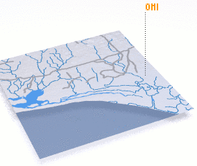 3d view of Omi