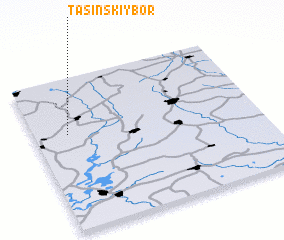 3d view of Tasinskiy Bor