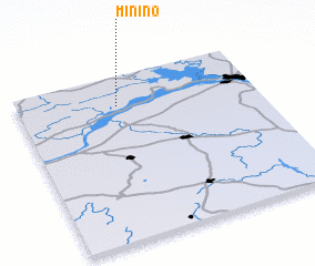 3d view of Minino