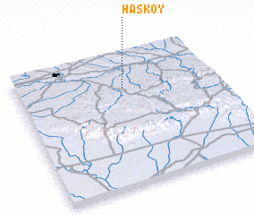 3d view of Hasköy