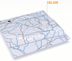 3d view of Salkım