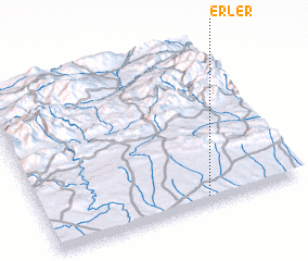 3d view of Erler