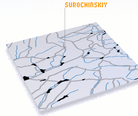 3d view of Surochinskiy