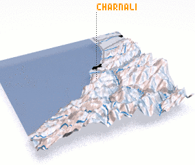 3d view of Charnali