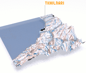 3d view of T\