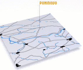 3d view of Puminovo