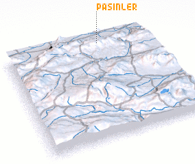 3d view of Pasinler