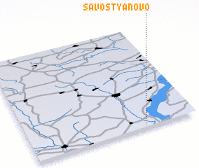 3d view of Savost\