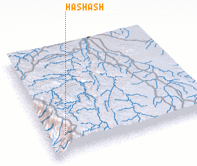 3d view of Hashash