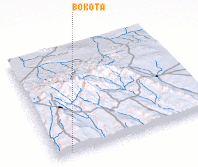 3d view of Bokʼota